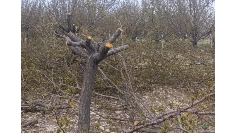 Don felaketi sonrası Malatya’da umut arayışı: “Belki kurtulur”