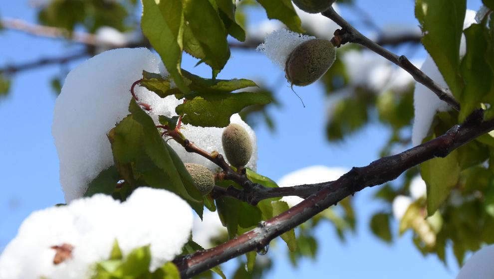 Malatya Üşüyor: İlçe Bazında Hava Durumu