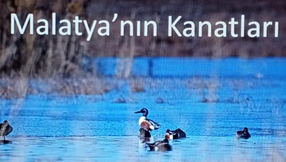 Doç. Dr. Kutlutürk'ün objektifinden Malatya'nın Kanatları