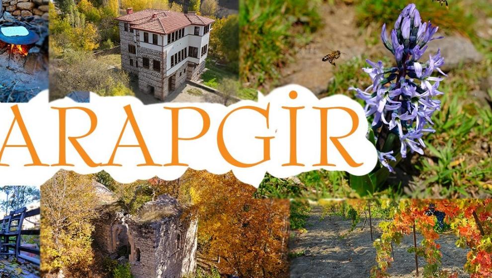 Arapgir'de 157 konut korumaya alındı!