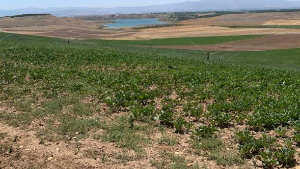 Malatya'da kaçak ölçümle çiftçinin toprağına çökmeye çalışan GES'çilere Vali tokadı!