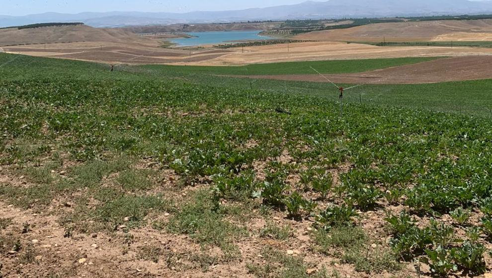 Malatya’da kaçak ölçümle çiftçinin toprağına çökmeye çalışan GES’çilere Vali tokadı!