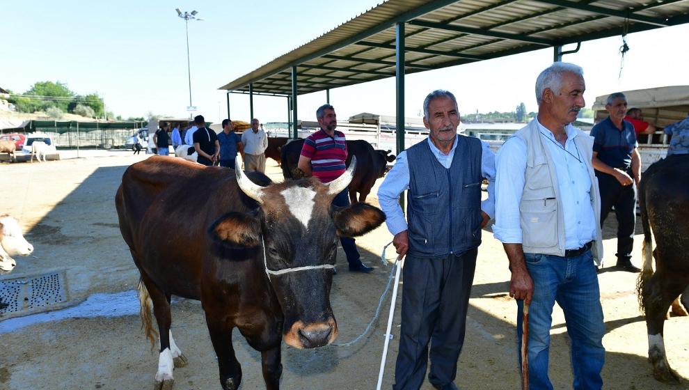 Yeşilyurt Belediyesi 41 noktada izin verdi: İşte yasak olmayan yerler!