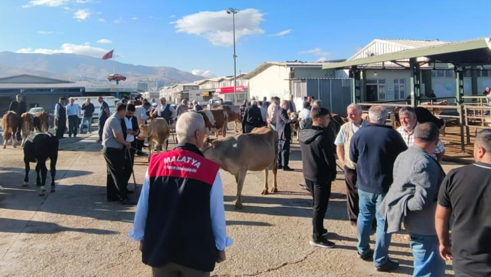 Malatya'da Hayvan Pazarı Yeniden Açıldı