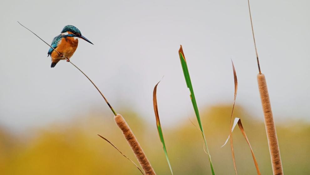 Malatya’da sanat dolu günler yaşanıyor!
