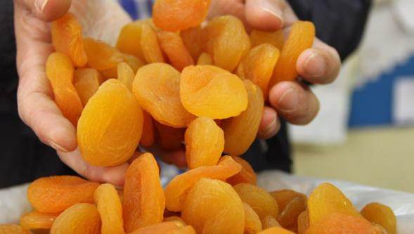 Kuru kayısıda yaşanan rekolte kayıpları ihracat tutarını aşağı çekti