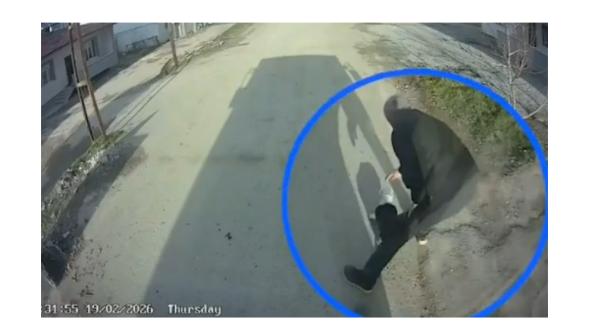 Başı konserve kutusuna sıkışan kediyi otobüs şoförü kurtardı