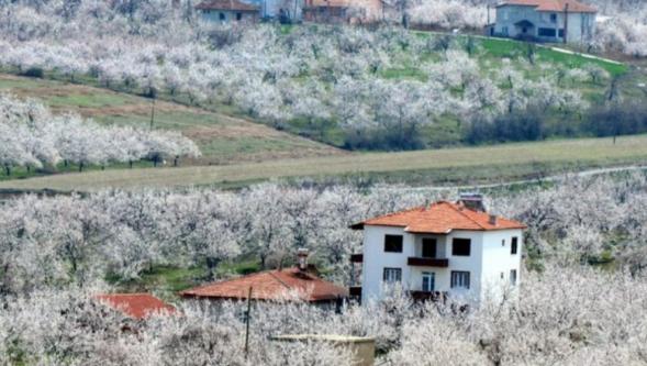 CHP'li Ağbaba'dan zirai don uyarısı!
